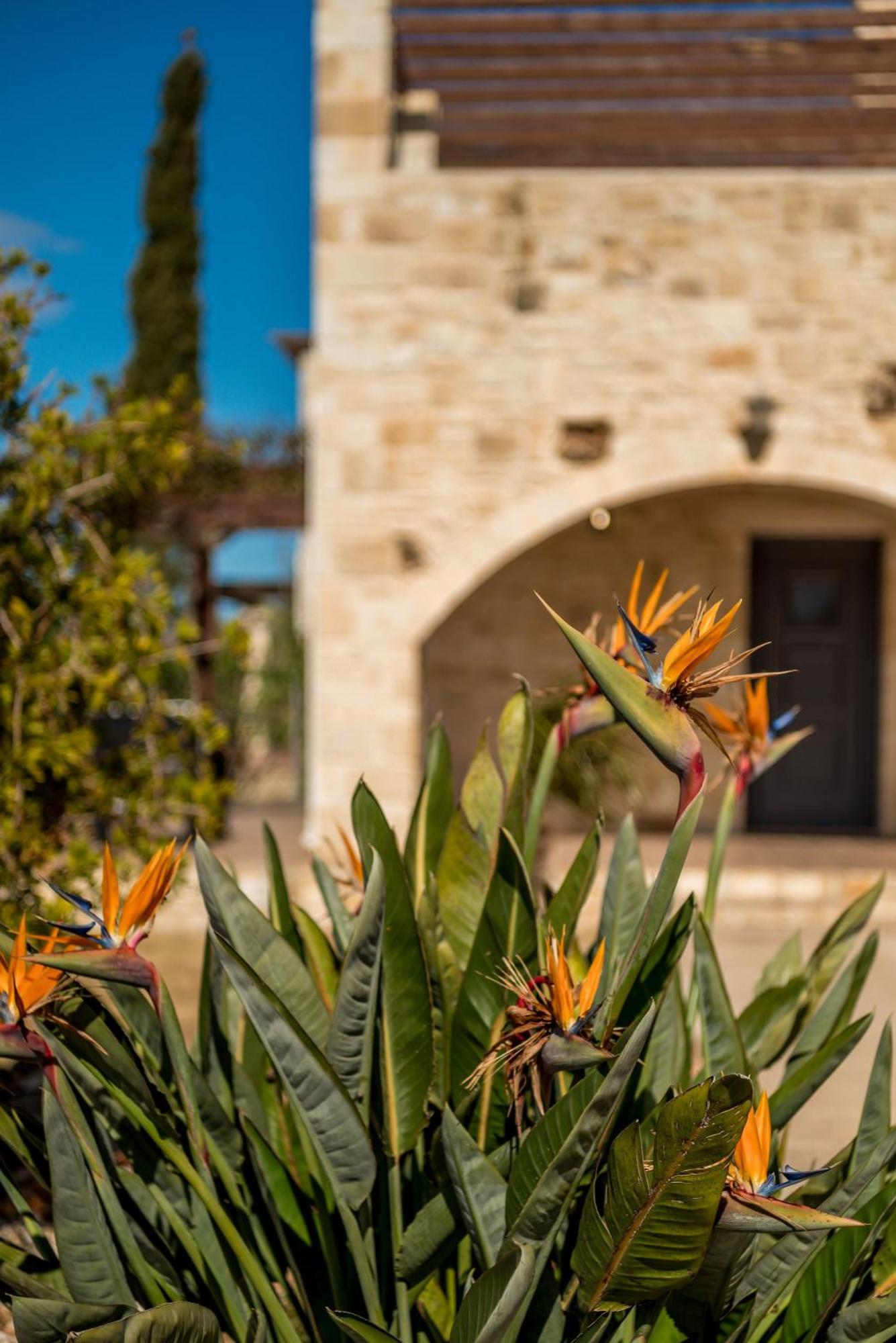 Villa Gloria Seaview - Luxury & Family Kokkino Chorio Екстер'єр фото
